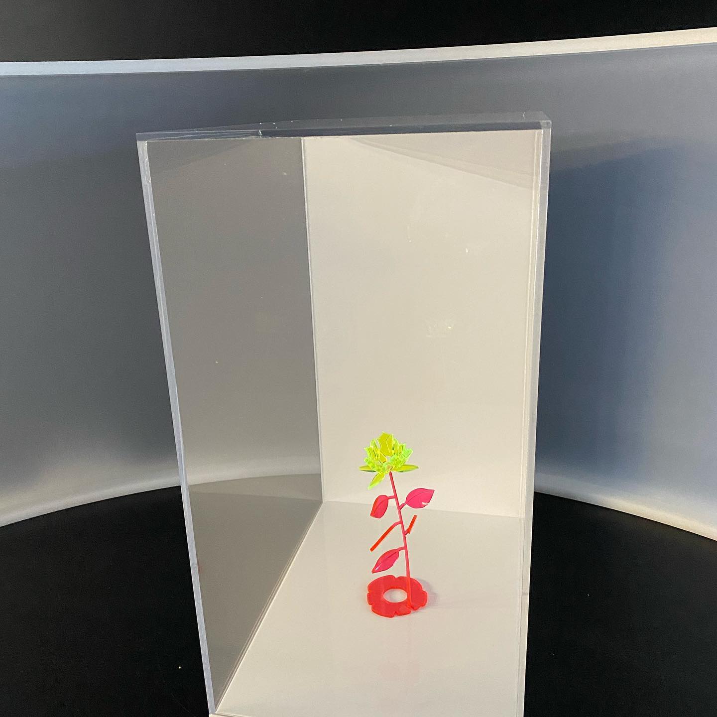 273730271_679477703188022_809129631439704810_n