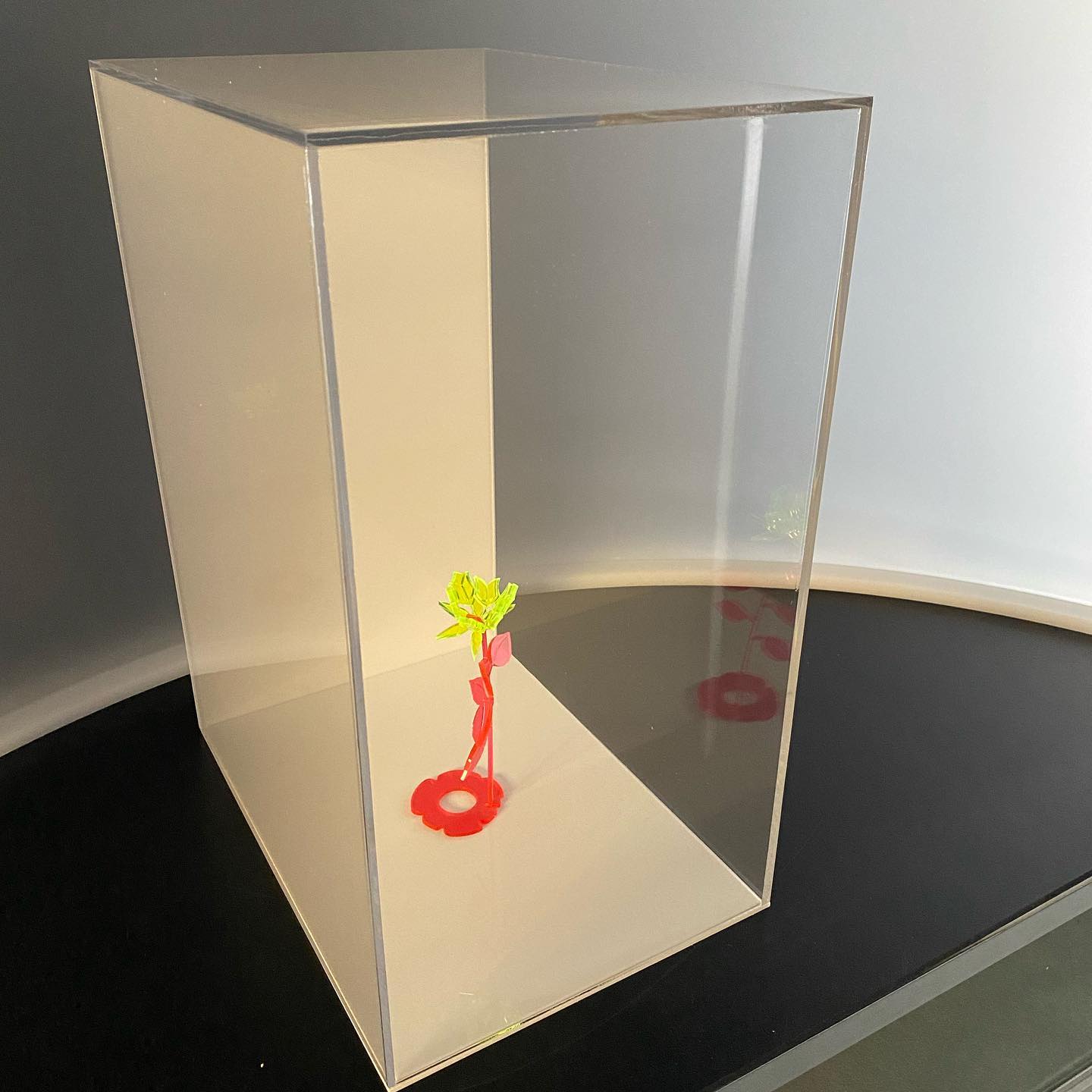 273799347_245515654434798_533628278881185374_n