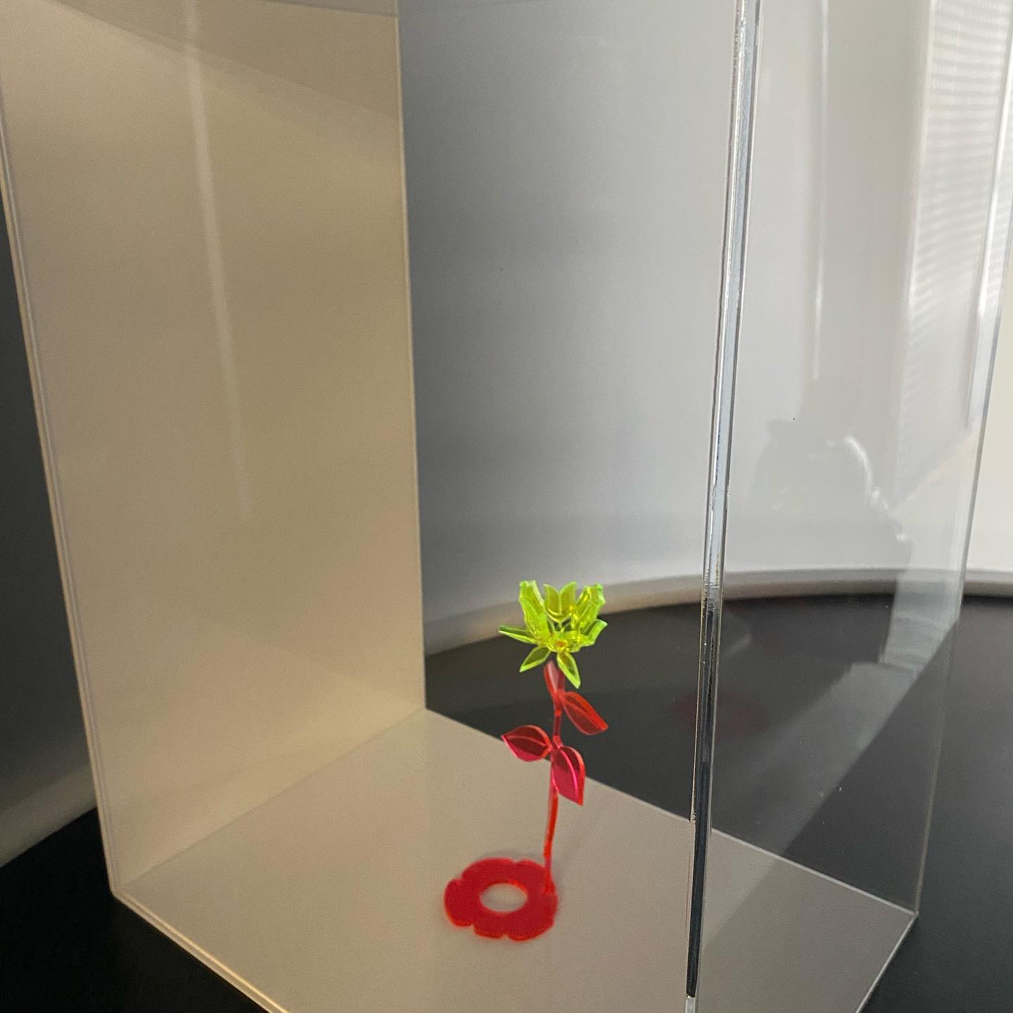 273847753_518757262903122_5621935825189363441_n